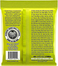 Ernie Ball 2221 Nickel Regular Slinky Electric Guitar Strings 3 Pack